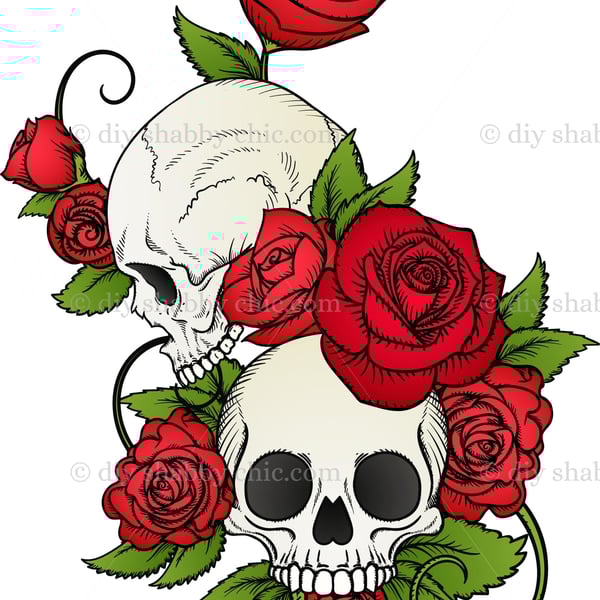 Waterslide Wood Furniture Vintage Image Transfer DIY Shabby Chic Art Skull Rose