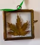 Vintage Pressed Acer Leaf Hanging Decoration - Image 2