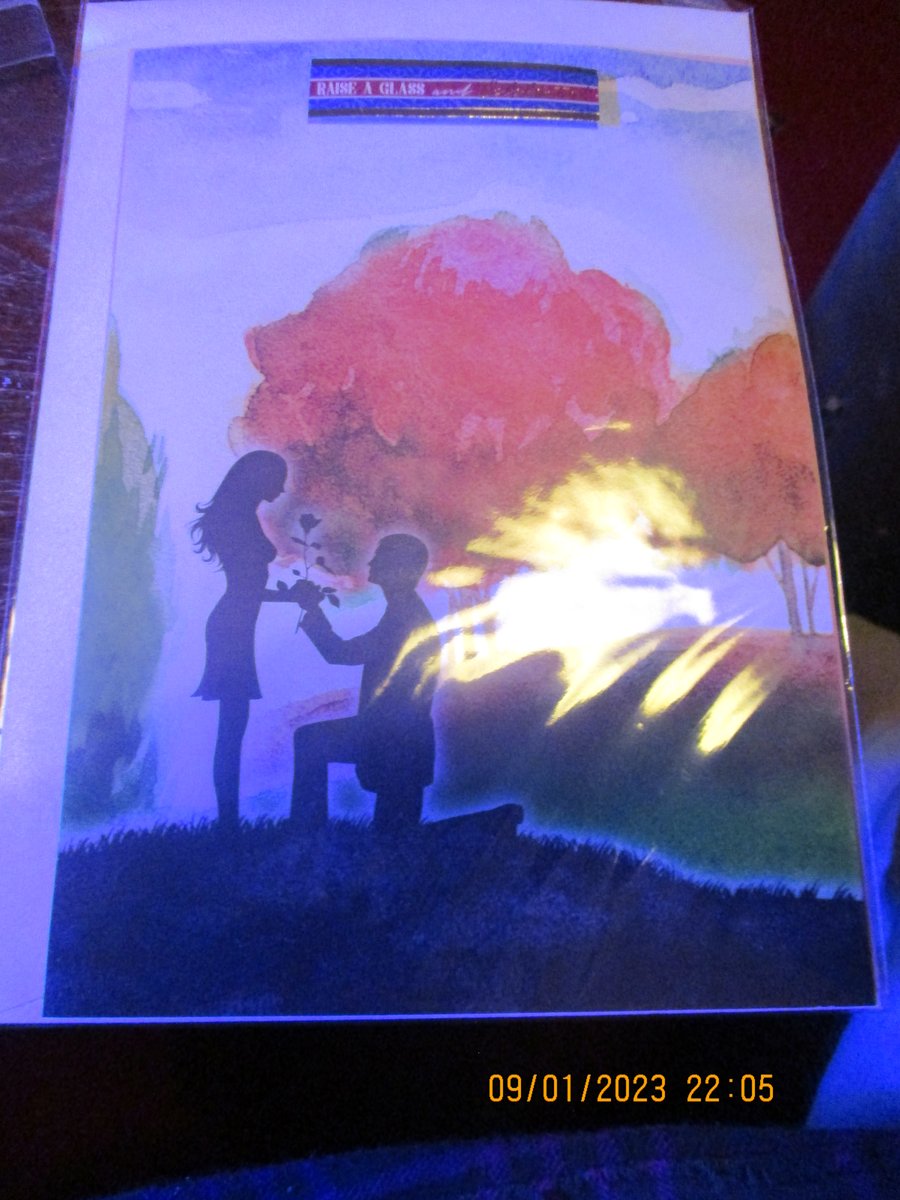 Raise a Glass and Celebrate Card