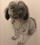 A3 Custom Dog Portrait made with Coloured Pencil - Image 4