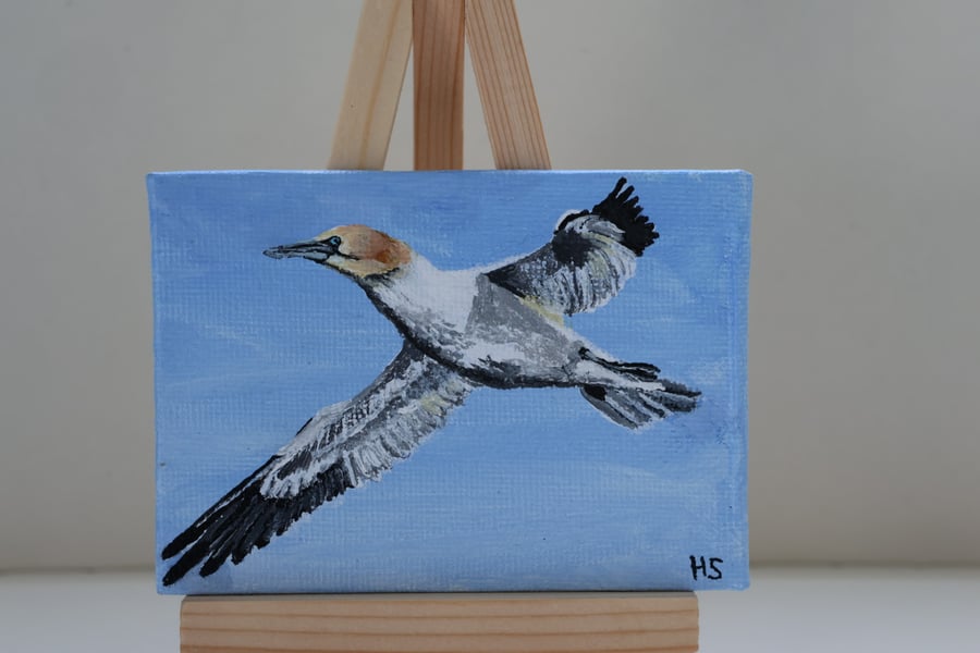 Gannet Mini Painting