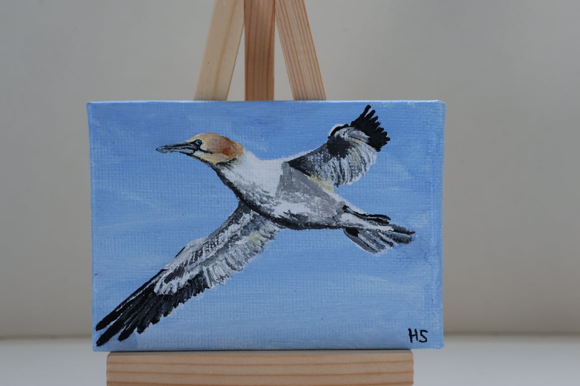 Gannet Mini Painting