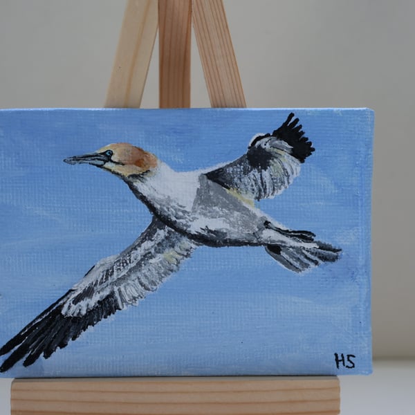 Gannet Mini Painting