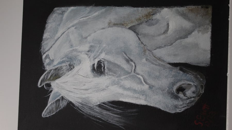 white horses head2
