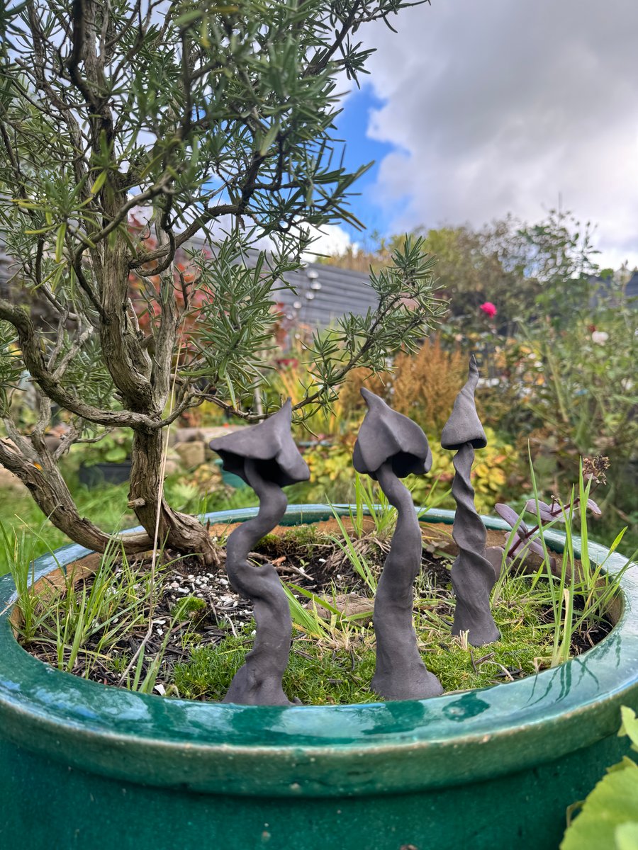 Trio of raw clay fungi 