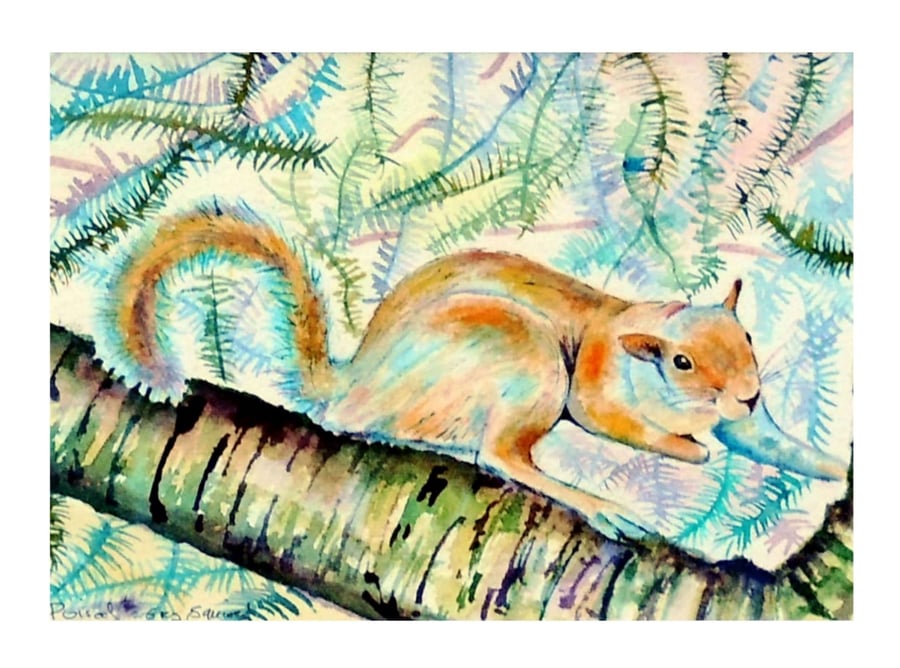 Squirrel Original Modern Fine Art  Painting Wildlife Watercolour