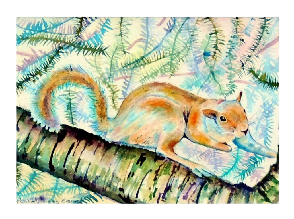 Squirrel Original Modern Fine Art  Painting Wildlife Watercolour