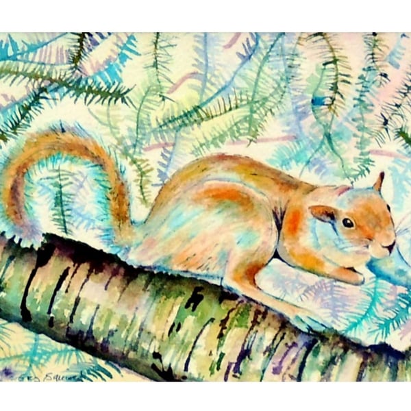 Squirrel Original Modern Fine Art  Painting Wildlife Watercolour