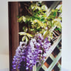 Wisteria - greeting card