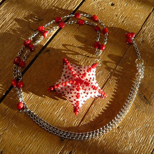 Starfish necklace