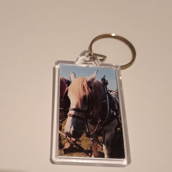 Shire Horses Portrait Style Photography Keyring