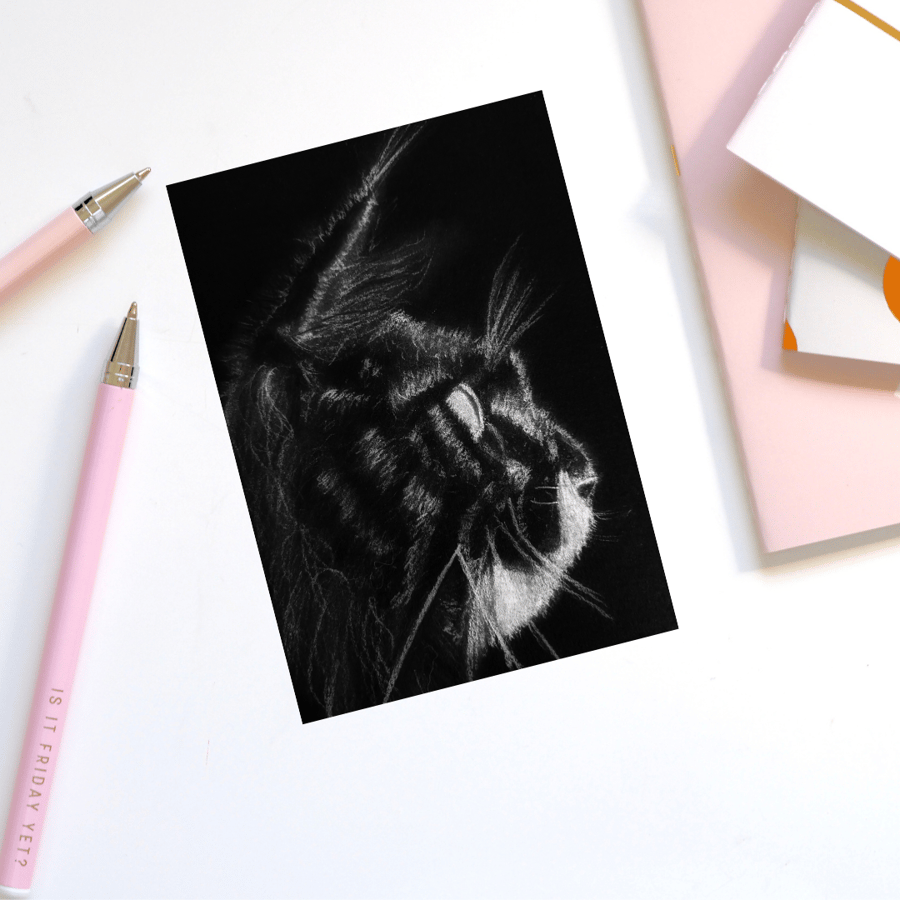 cat lovers birthday card, tuxedo cat, black cat, greeting card, from the cat