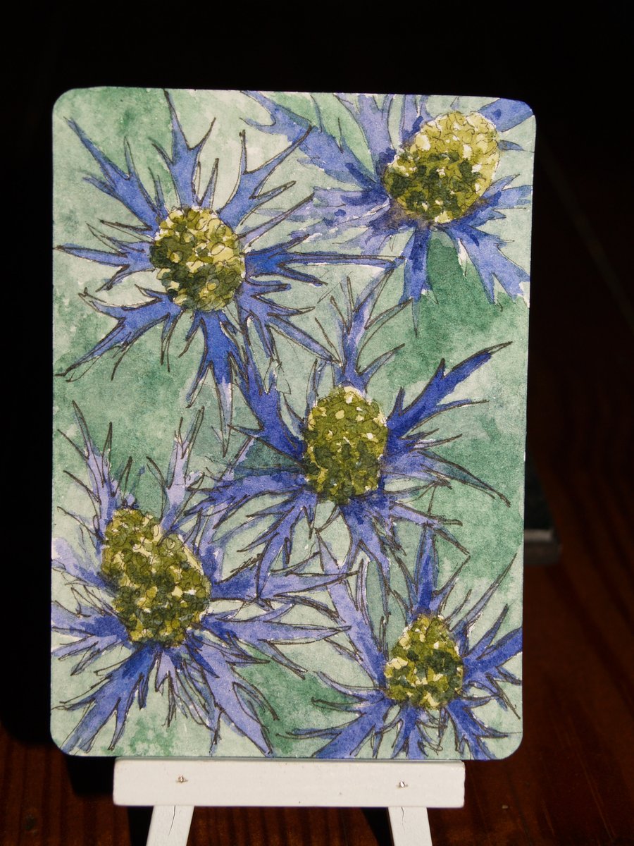 ACEO Original Sea Holly watercolour