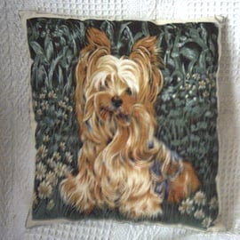 A lively young Yorkshire Terrier  waiting for some fun cushion