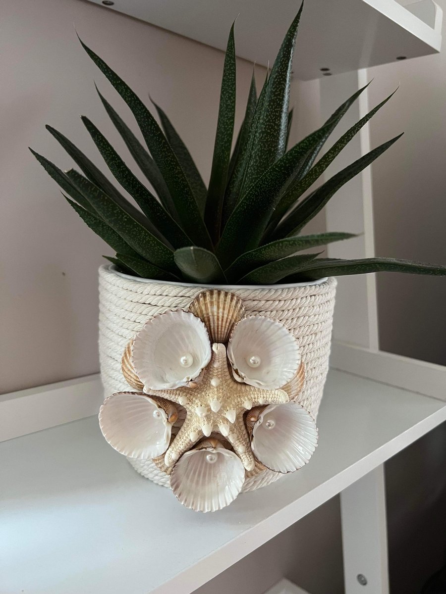 Plant pot with shells 