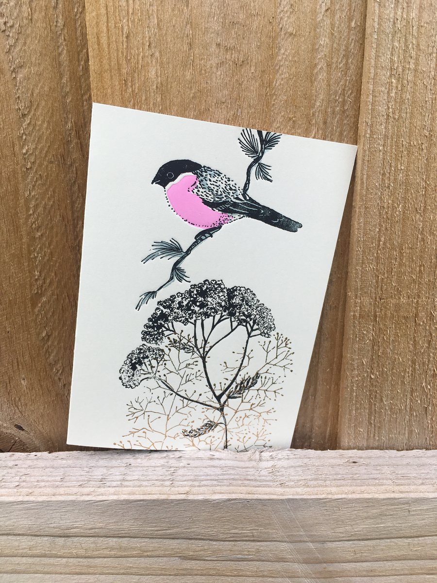 Bullfinch Greetings Card