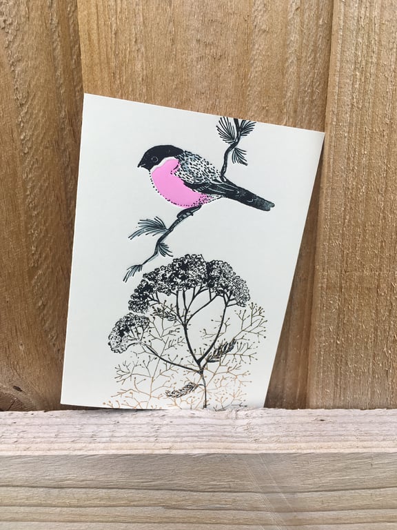 Bullfinch Greetings Card