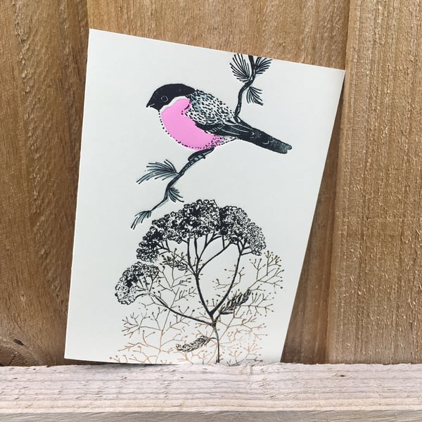 Bullfinch Greetings Card