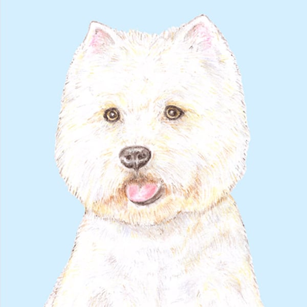 Rupert the Westie on Blue - Birthday Card