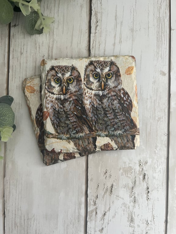 Slate Coasters Set of 2: Decoupage Owls- Home Decor, Dining, Gifts, Kitchen