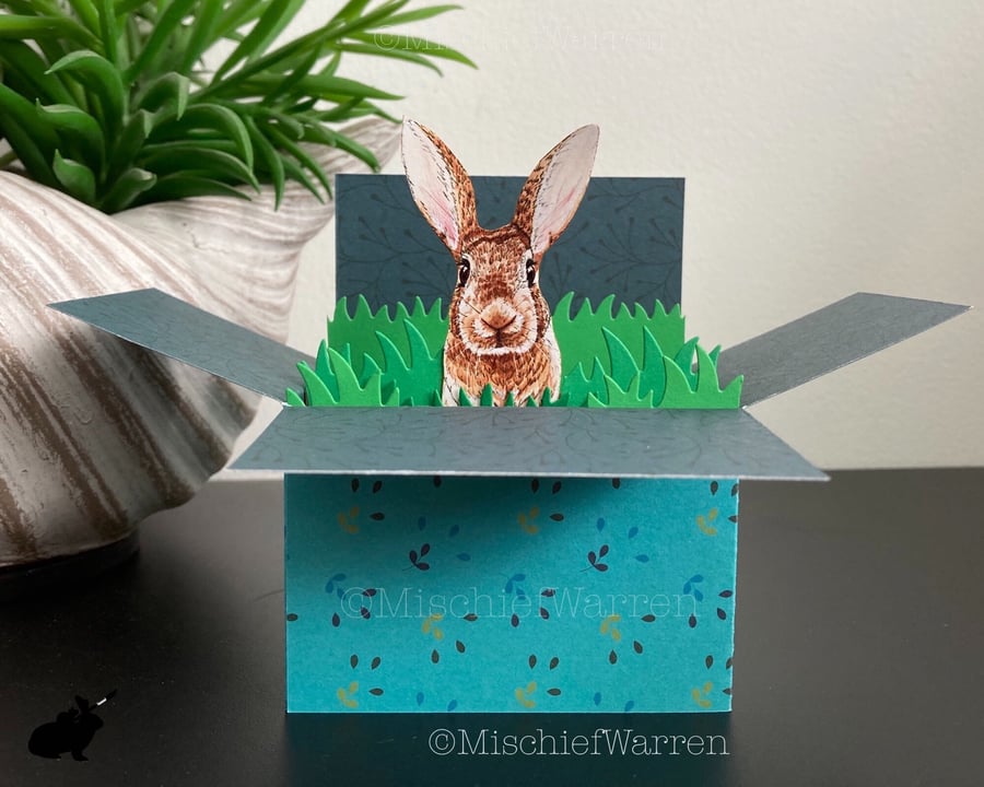 Brown Rabbit Card. Blank Personalised 3D card. Gift card holder.