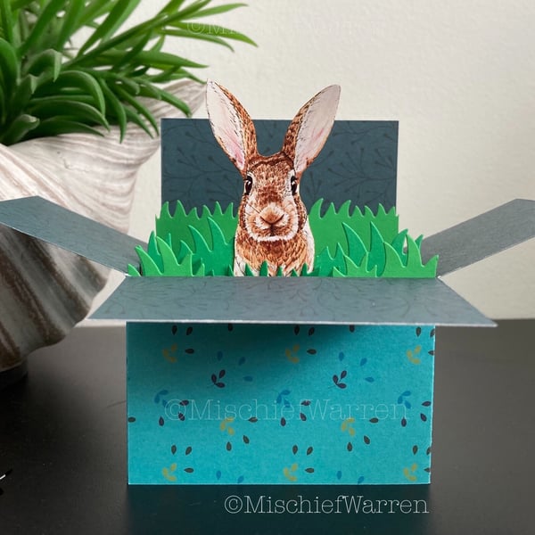 Brown Rabbit Card. Blank Personalised 3D card. Gift card holder.