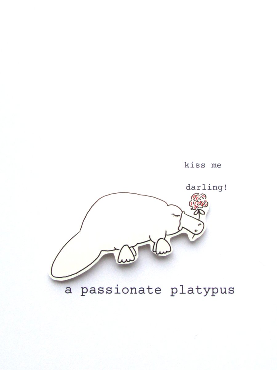 love card - a passionate platypus 