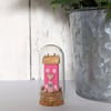 Miniature Glass Cloche with Wooden Cottage Home Decor 