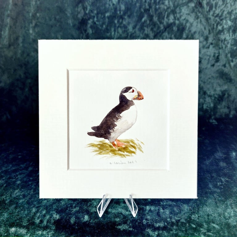 Puffin - Original Watercolour Painting