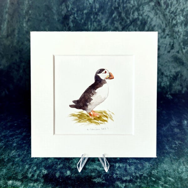 Puffin - Original Watercolour Painting