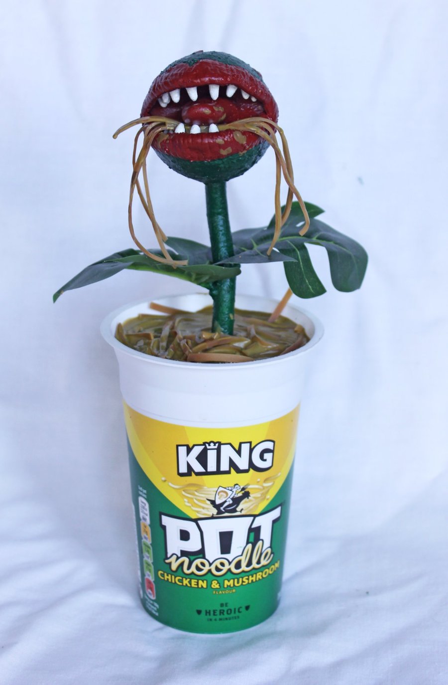 Pot Noodle Plant