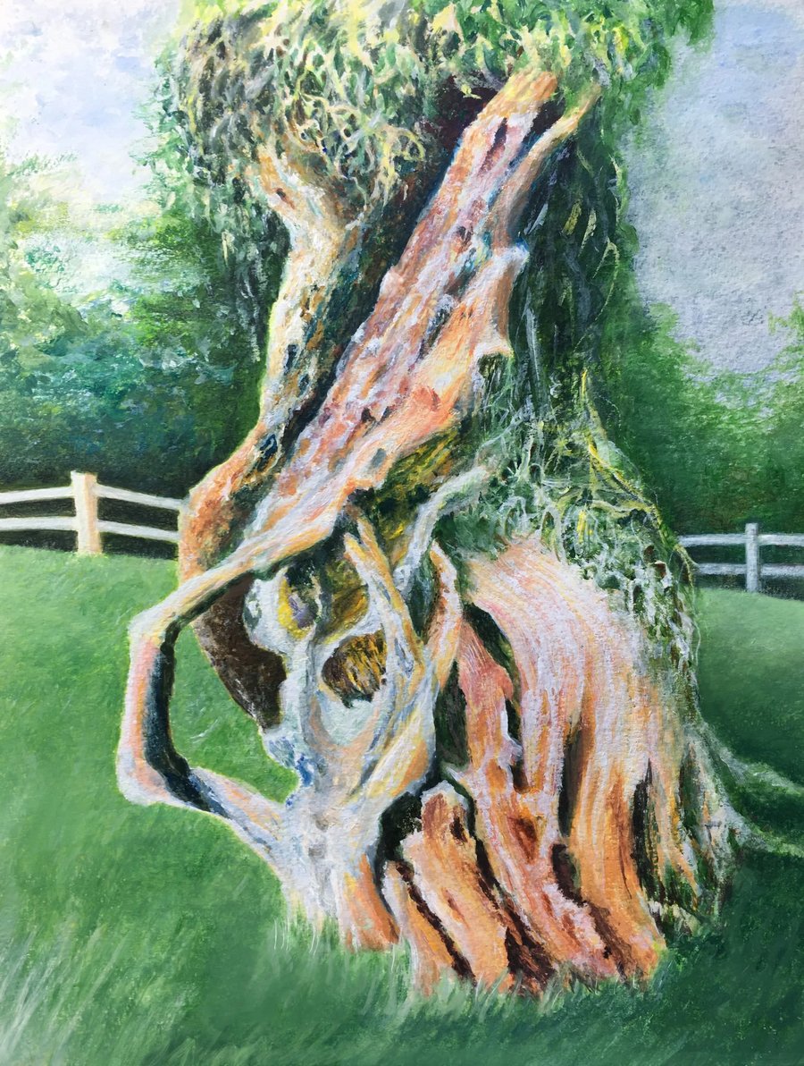 Original Acrylic - Old Tree