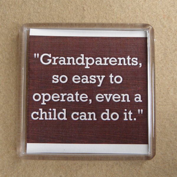 Grandparents - So Easy! Grandchildren Manipulate Funny Decorative Magnet