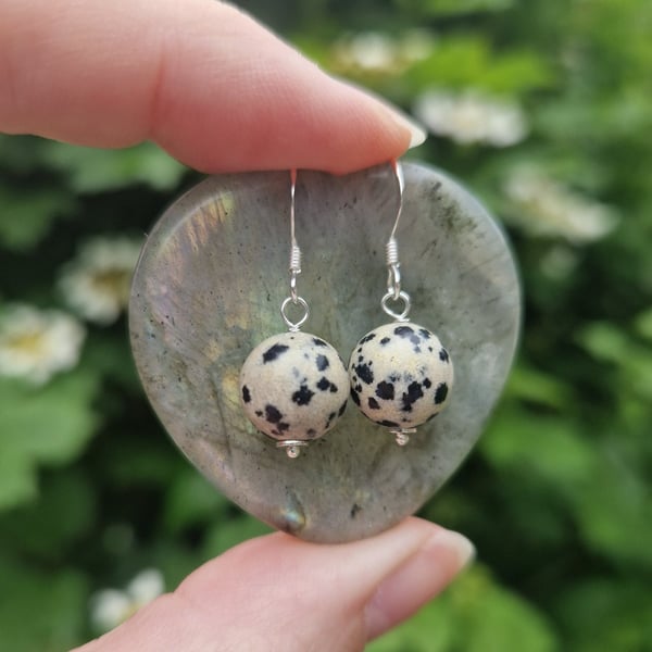 Dalmatian Jasper earrings