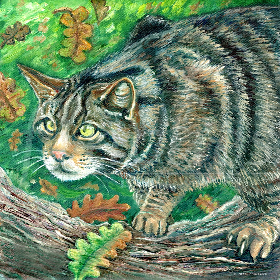 Spirit of Wildcat - Limited Edition Giclée Print