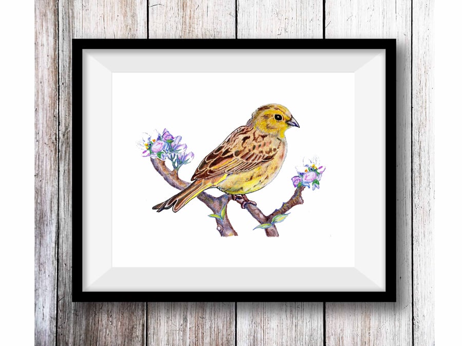 Handdrawn A5 Azalea Digital Print Unframed 