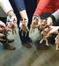 Kit - Reindeer Christmas Clinger Needlefelt - Image 2