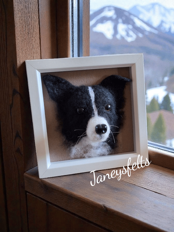 Border Collie Portrait