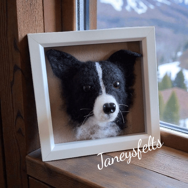 Border Collie Portrait