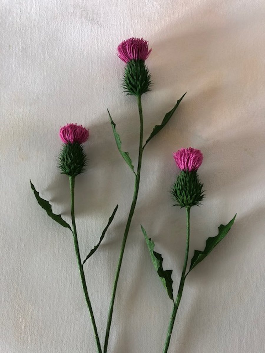 Paper flowers - Scottish thistle