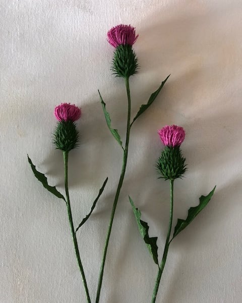 Paper flowers - Scottish thistle