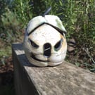 Pumpkin tea light