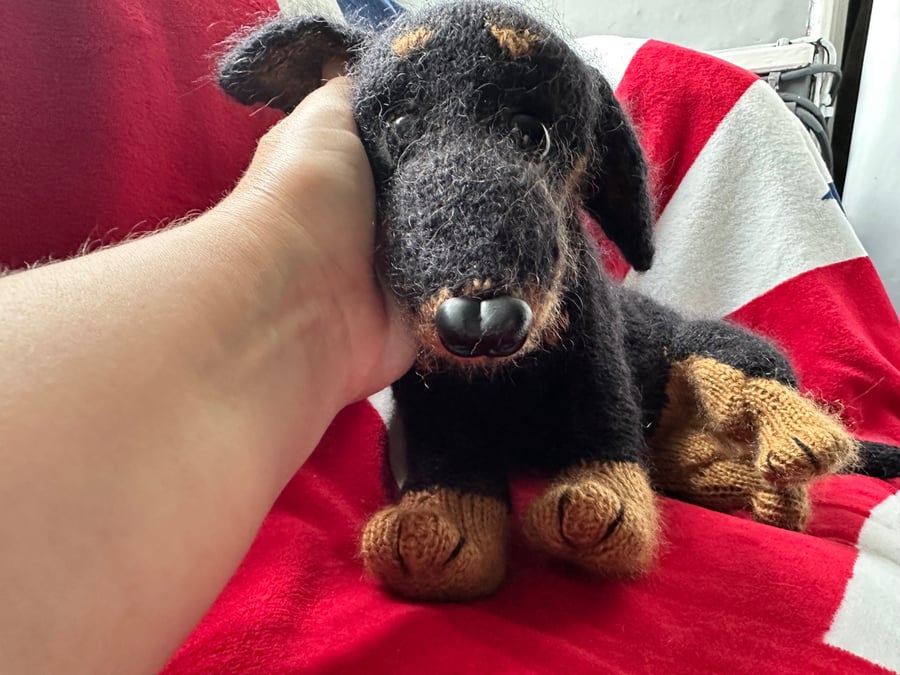 Mini Dachshund