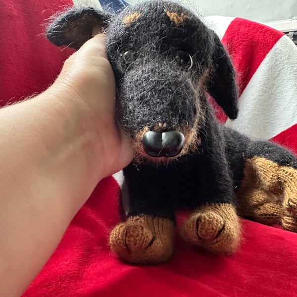 Mini Dachshund