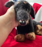 Mini Dachshund