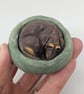 Yorkshire Pudding - Brown & Tan Dachshund - Image 3