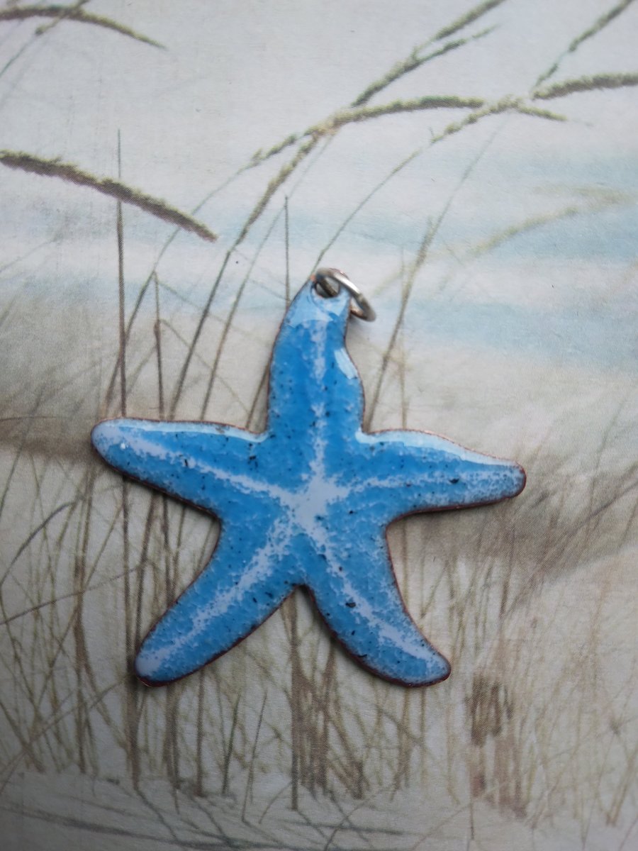 Starfish pendant in enamelled copper 259