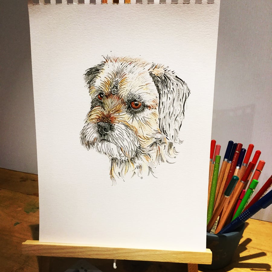 Border Terrier a4 Art Print 