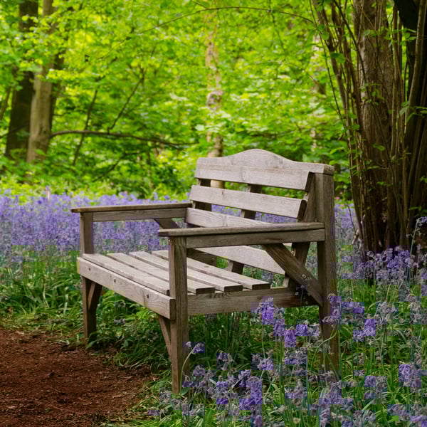 Bluebell woodland seat print