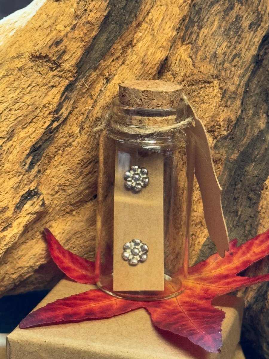 Tiny silver daisy flower stud earrings in a jar 